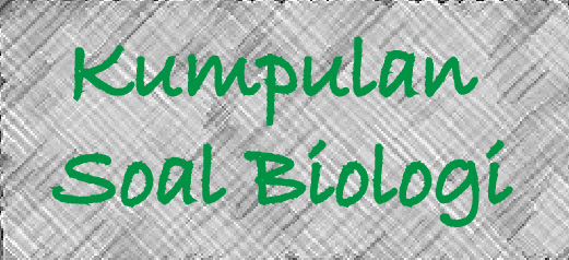 materi kelas biologi 11 bab 6 pdf